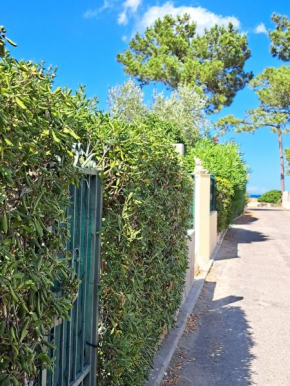 Mini villa jardin 50 m plage